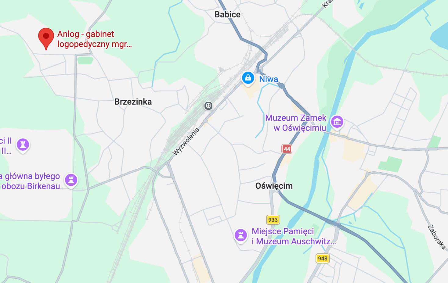 Mapa w jasnych kolorach z pinezką logopedy w Oświęcimiu